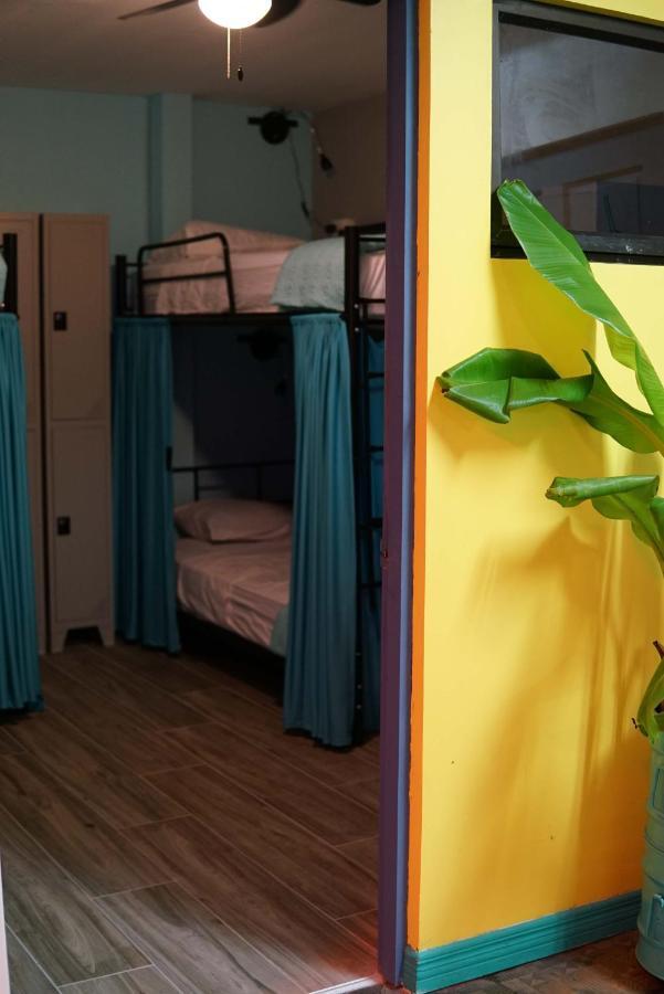 Nativus Art-Hostel Сан-Хосе Экстерьер фото