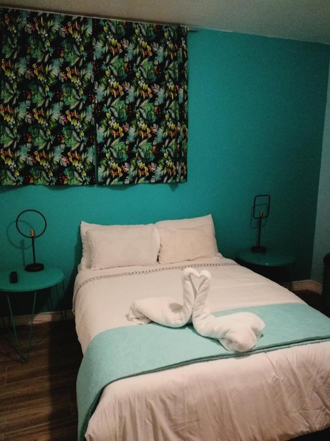 Nativus Art-Hostel Сан-Хосе Экстерьер фото